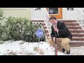Scout - User-Controlled Security System