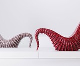 The Seahorse Lounger