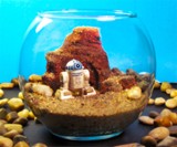 R2D2 Terrarium