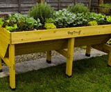 VegTrug