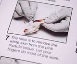 Mouse Taxidermy Kit