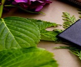 Clifton Flat Engagement Ring Case