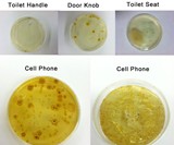 PhoneSoap - Germs
