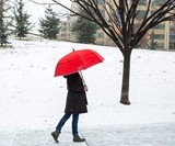 The Weatherman Umbrella for 55MPH Winds