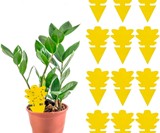 Fruit Fly & Fungus Gnat Trap for Plants