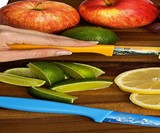 Landscape Kitchen Knife Set