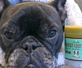 Snout Soother Dog Nose Balm