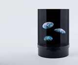 Pet Jellyfish Aquarium