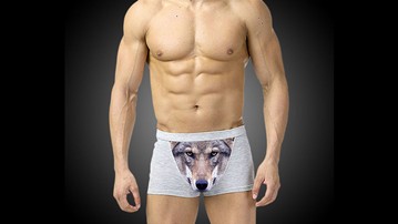 3D Wolf Crotch Underwear