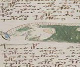 The Voynich Manuscript
