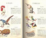 Codex Seraphinianus: The Strangest Book Ever Made