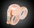 Knuckle Duster Safety Bell Knuckle Duster Safety Bell