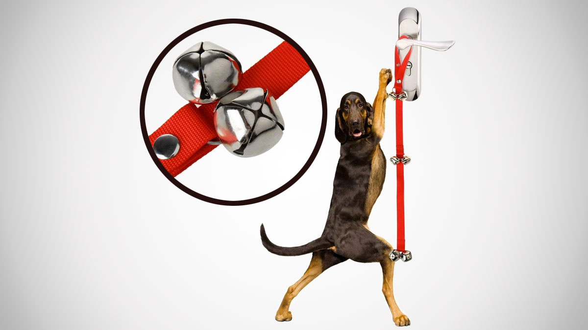 Dog Doorbells for Housebreaking Your Dog Dog Doorbells for Housebreaking Your Dog