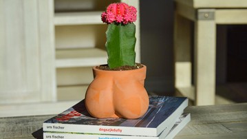 TERRACOCK'n'BALLS Planter TERRACOCK'n'BALLS Planter