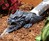 Dragon Downspout Statue