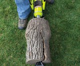 Sun Joe 10-Ton Hydraulic Log Splitter