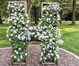 Giant Custom Cedar Letter Planter