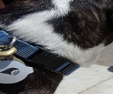 TrackR Bravo Locating Device