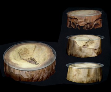 Star Wars Sarlacc Pit Coffee Table Star Wars Sarlacc Pit Coffee Table