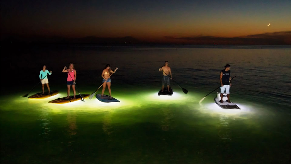 NOCQUA Paddle Board LED Light System NOCQUA Paddle Board LED Light System