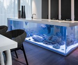 Ocean Kitchen - Aquarium Island