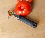 The Tomato Shark