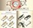 Codex Seraphinianus: World's Strangest Book Codex Seraphinianus: World's Strangest Book