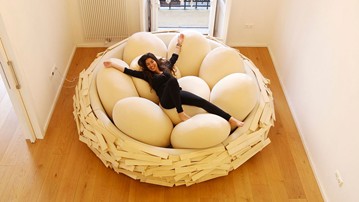 The Bird's Nest Bed The Bird's Nest Bed