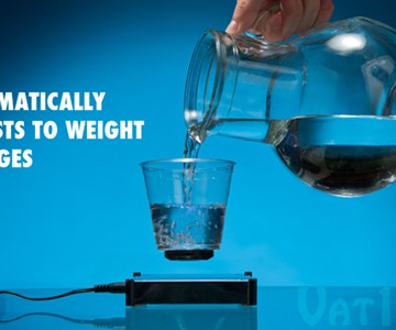 The Levitron The Levitron