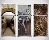 Fridge Skins - Wine Cellar, Lounging Woman, and Leopard Motifs