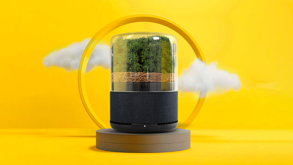 briiv Air Filter - Plant-Based Air Purifier briiv Air Filter - Plant-Based Air Purifier