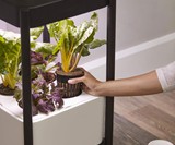 Miracle-Gro Twelve Indoor Growing System