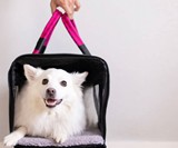 ROVERLUND Airline Compliant Pet Carrier & Car Seat