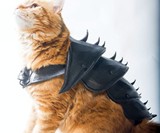 3D Printed Cat Armor