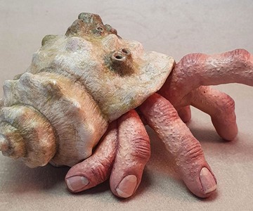 The Fingercrab The Fingercrab