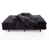 The Harambed