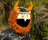 Furry Friends & Fiends Motorcycle Helmet Covers