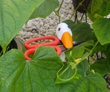 Magnetic Goose Helper