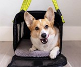 ROVERLUND Airline Compliant Pet Carrier & Car Seat