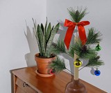 Christmas Tree Toilet Plunger