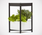 Miracle-Gro Twelve Indoor Growing System