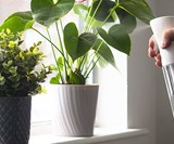 Continuous Spray Bottle with Ultra-Fine Mist