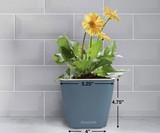 Aquaphoric Self-Watering Planter