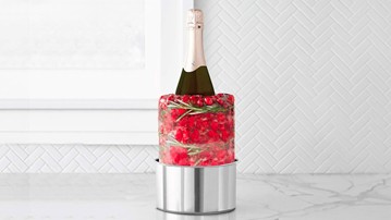DIY Ice Mold Wine Bottle Chiller DIY Ice Mold Wine Bottle Chiller
