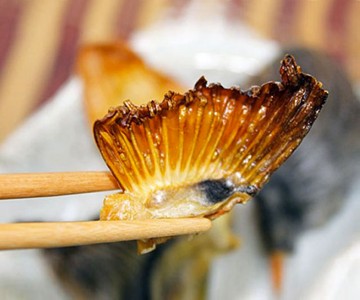 Dried Japanese Blowfish Fins Dried Japanese Blowfish Fins