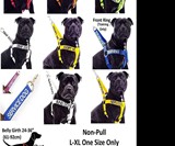Dog & Cat Temperament Leashes & Collars