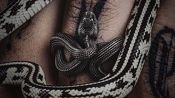 Viper Ring Viper Ring