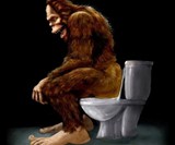 WTF? Icon Prints - Bigfoot on the John