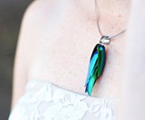 Beetle Wing Jewelry