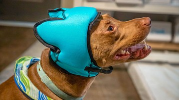 Pawnix Noise-Cancelling Headset for Dogs